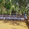 තෛපොංගල් උත්සවය 2019